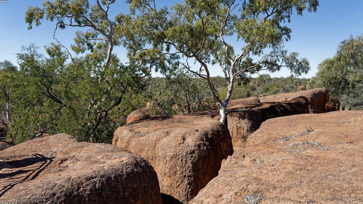SKA-Low is being built across the remote Murchison region of Western Australia, one of the radio quietest places on Earth.